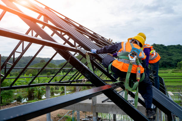 Best Roof Repair Specialists  in Chisholm, ME