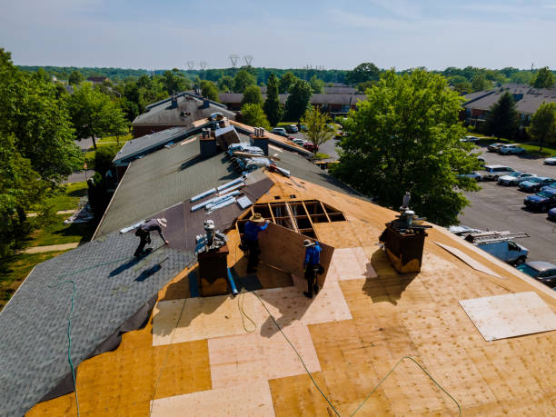 Best Roof Maintenance Services  in Chisholm, ME