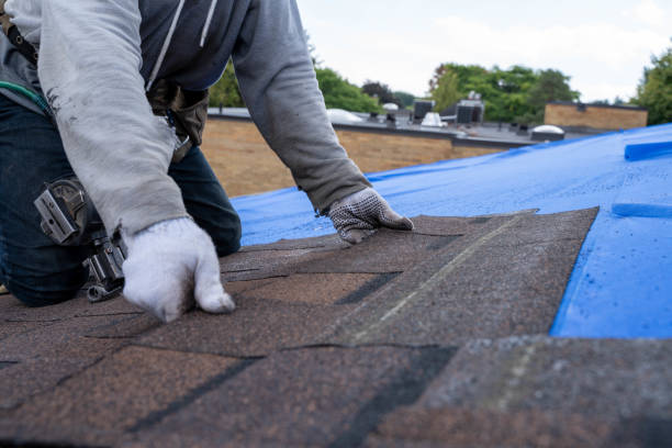 Best Storm Damage Roof Repair  in Chisholm, ME
