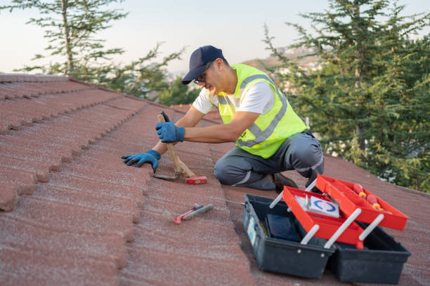 Best Emergency Roof Repair  in Chisholm, ME
