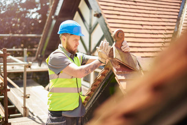 Best Flat Roof Repair Services  in Chisholm, ME