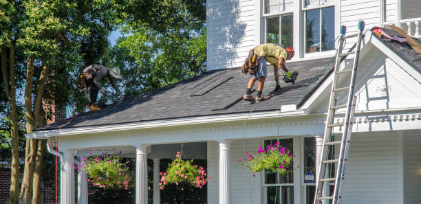 Best Metal Roofing Contractor  in Chisholm, ME